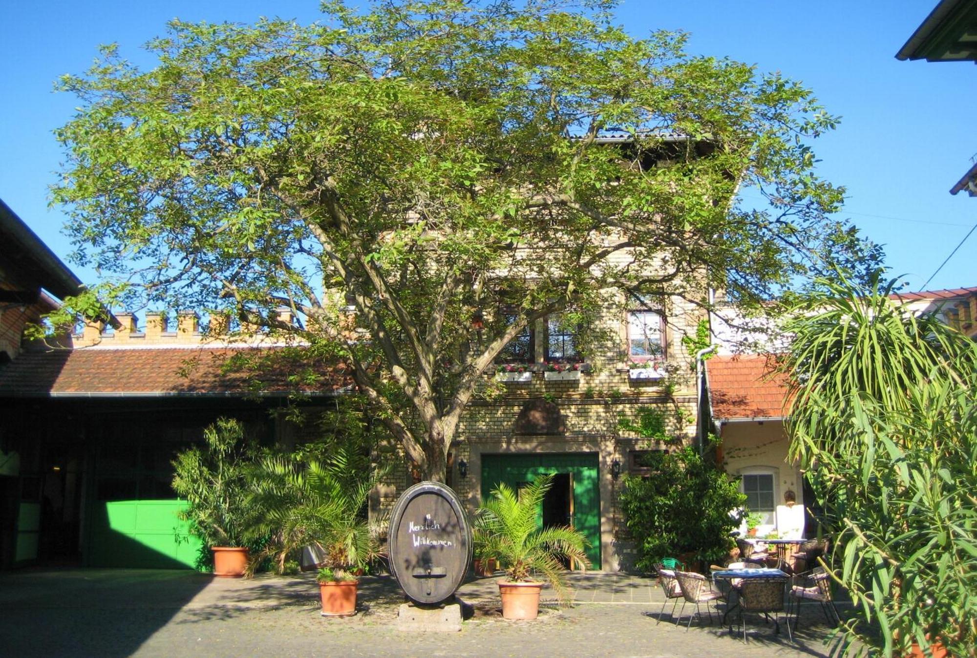 Gaestehaus Guntersblum Exteriér fotografie